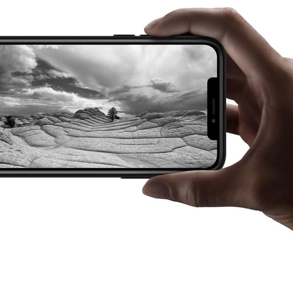 iPhone 13 & 12 Pro Max Mini tarvitsee trooppisen flamingon vaaleanpunaisen lehden