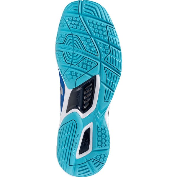 Mizuno Wave Stealth 6 Käsipallokengät Sininen EU 40 Mies