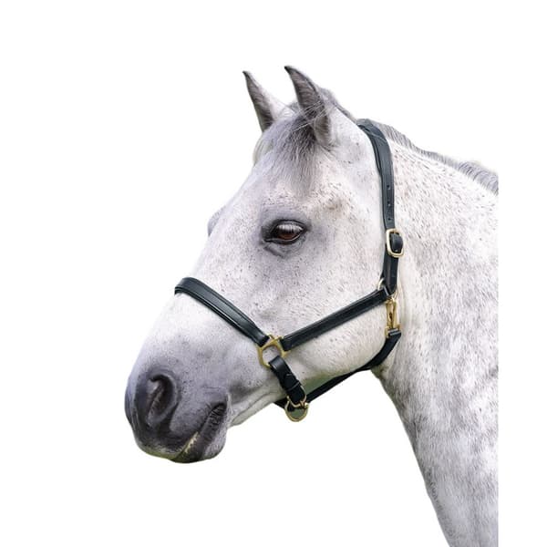 Blenheim Ragley Læder Hestehovedhalsbånd Black X Full