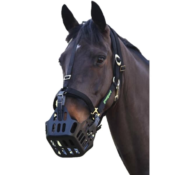 GreenGuard Horse Headcollar Black Full