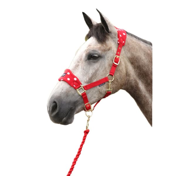 Supreme Products Dotted Fleece Horse Headcollar and Leadrope Rosette Full