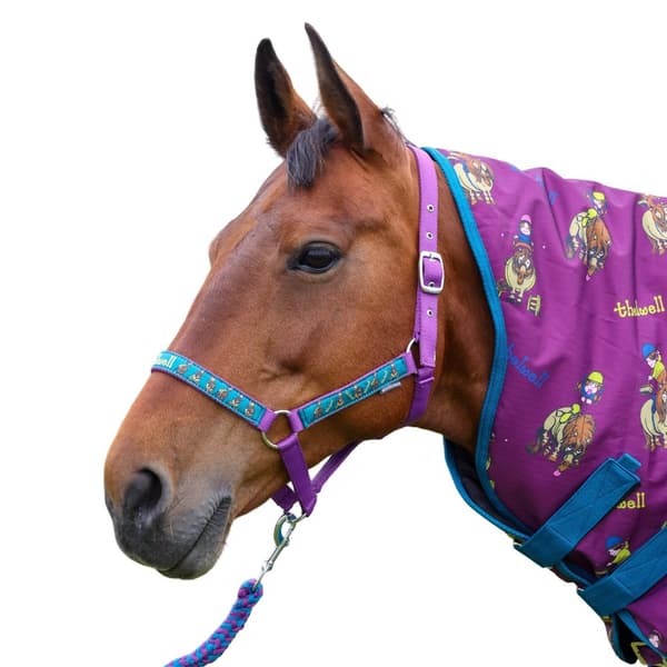 Thelwell Pony Friends Horse Headcollar