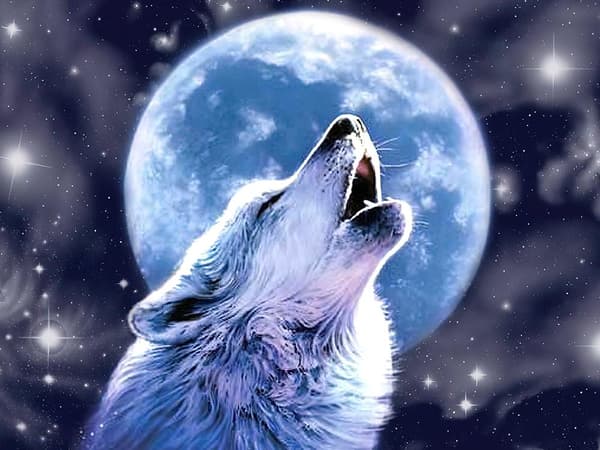 Diamond Painting / DIY 5D Diamantmaleri - 30x40cm - Wolf Moon Diamond Painting / DIY 5D Diamantmaleri - 30x40cm - Wolf Moon