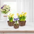 Miniatyrbilde 2 av 7: Firkantet blomsterpotte i tre - sett med 3 stk