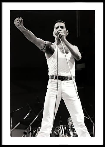 Freddie Mercury No4 Plakat 30x40cm