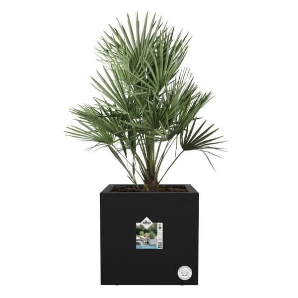 Elho Vivo Next Square 30 Blomlåda - Svart - Ø 30 x H 29 cm - inomhusutomhus - 100% återvunnen