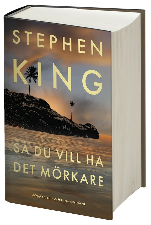 Så Du Vill Ha Det Mörkare (Bok)