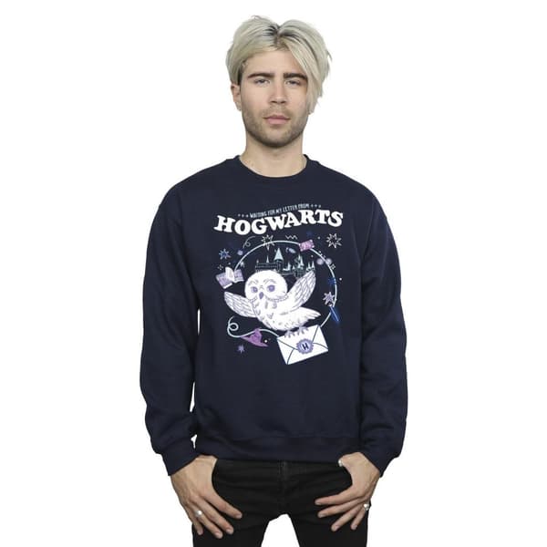 Harry Potter Mens Owl Letter From Hogwarts Sweatshirt