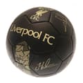 Miniatyrbillede 3 af 3: Liverpool FC Phantom Signature fodbold