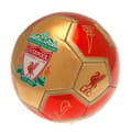 Miniatyrbillede 3 af 3: Liverpool FC YNWA Signature Football