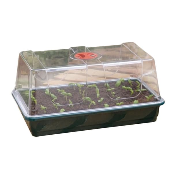 Garland Dome Propagator Green/Clear 18cm x 37.5cm x 23cm