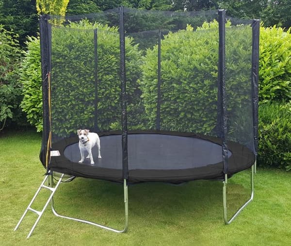 Trampolin sort 244 cm - med sikkerhedsnet - op til 110 kg.